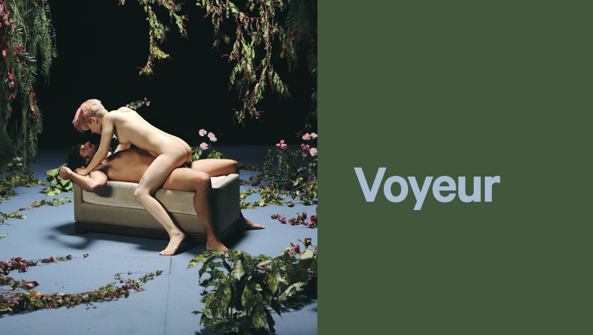 Voyeurism
