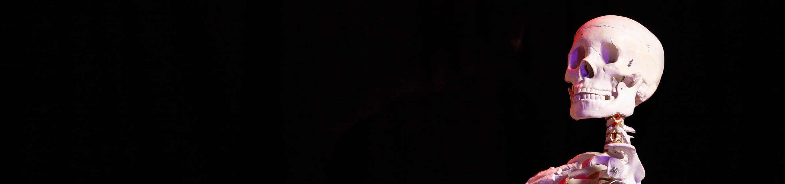 This is a default alt