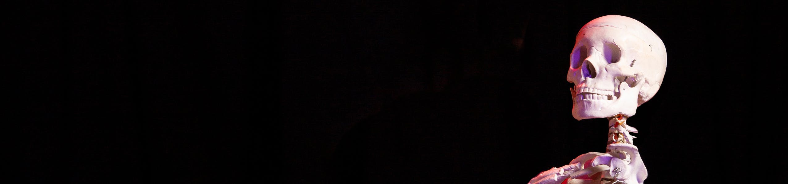 This is a default alt This is a default alt