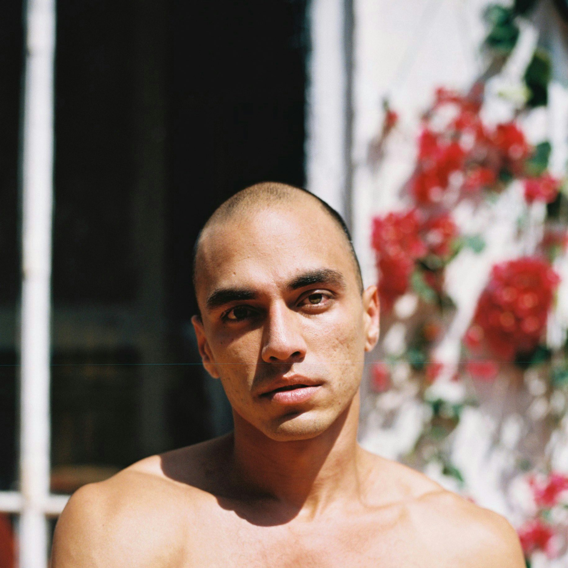 Francisco Gabriel Francisco Gabriel