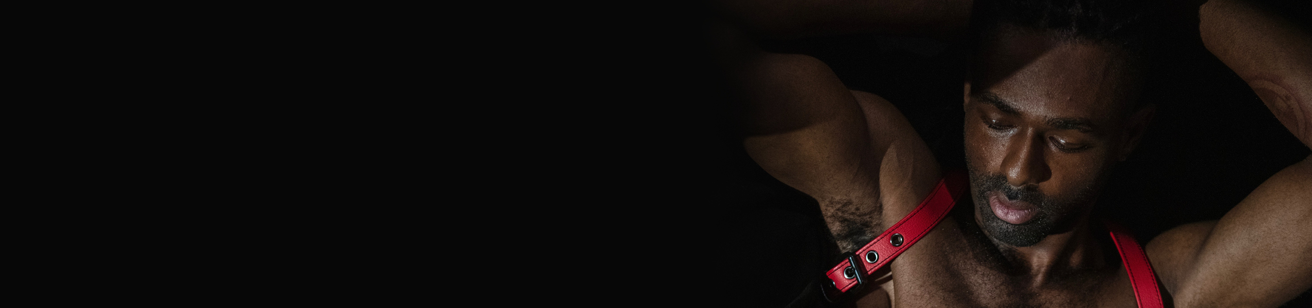 This is a default alt