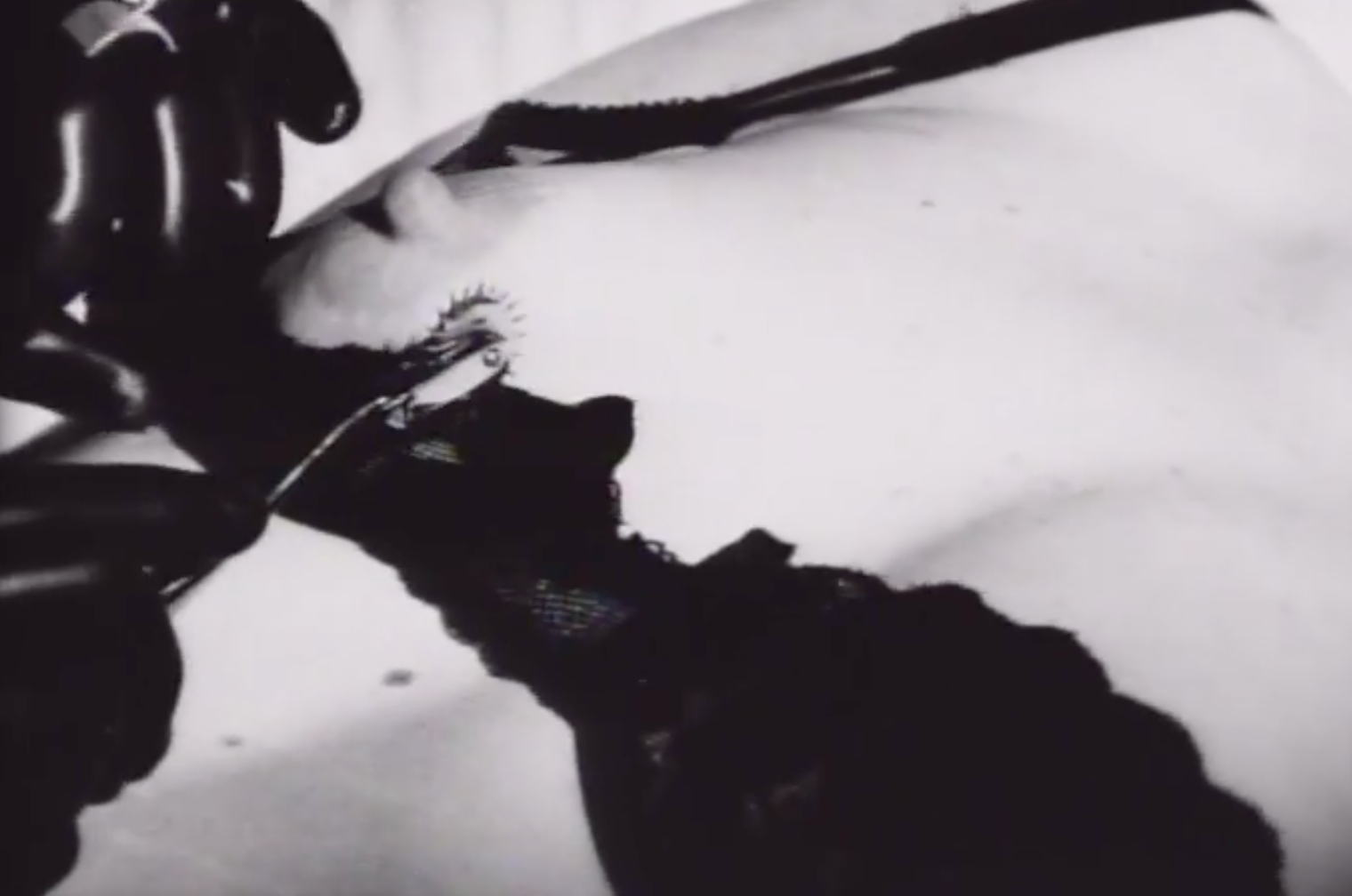 Screenshot 2025-10-13 at 16.28.31