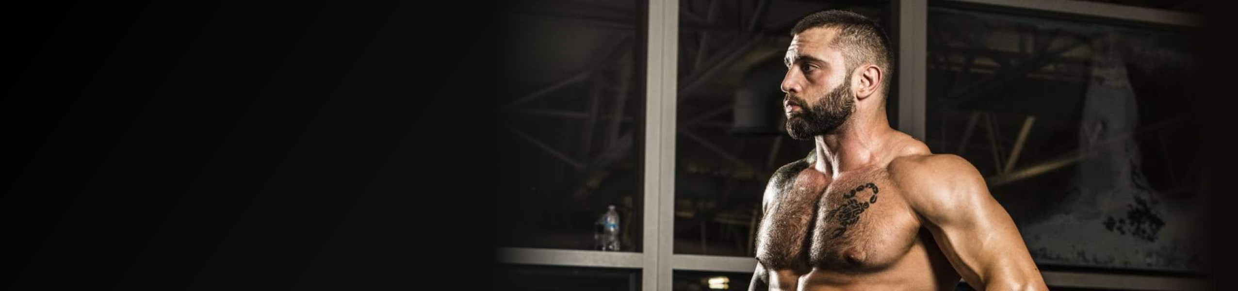 This is a default alt