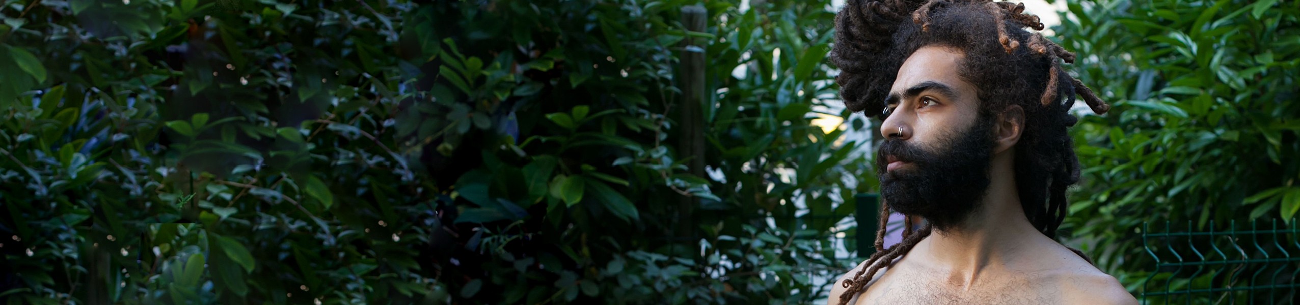 This is a default alt